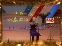 春归下载