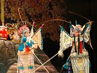 婺剧青春版《穆桂英》全集 浙江婺剧团演出下载