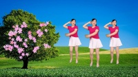 玫香广场舞《还没有爱够》正背面演示好看易学下载