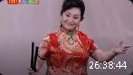 河南坠子《相府奇冤》全本下载
