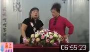 河南坠子《少国公私访》全集下载