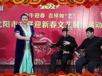 东北大鼓《小两口争灯》