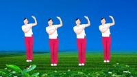 玫香广场舞《大姑娘美大姑娘浪》正背面附教学下载