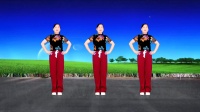 玫香广场舞《弹棉花》《青蛙叫》《梅花三弄》魔性纯音乐版下载