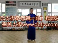 《陈氏太极拳老架一路》精髓揭秘