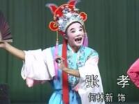 莆仙戏《火烧沉香阁》全剧下载