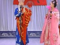 夸哈尔滨  李翠莲盘道下载