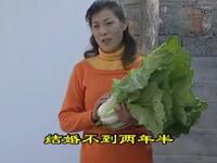 沂蒙小调《相亲记》下载