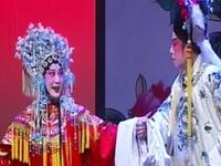 川剧《双阳公主》全集 南充市川剧团演出下载