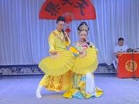 二人转《双思五更》《禅宇寺（伍员救驾）》下载