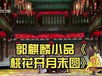 桃花开月未圆下载