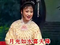 山东吕剧《奇婚记》全剧 潍坊市吕剧团下载