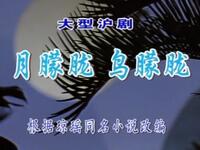 沪剧《月朦胧 鸟朦胧》全集下载