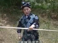 庐剧《朱洪武放牛》全剧下载