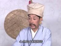 庐剧《苦命双胞胎》中集下载