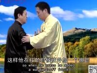 陈正雷陈氏太极推手 陈氏太极拳