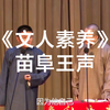 文人素养下载