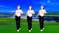 玫香广场舞《不问青春多少年》正背面附教学下载