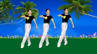玫香广场舞《心海潮汐》正背面附教学下载