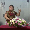 河南坠子《呼家将》全集下载
