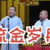 流金岁月下载