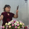 河南坠子《大明奇冤案》全集下载