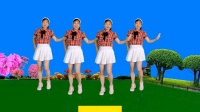 玫香广场舞《为什么爱的模棱两可》正背面附教学下载