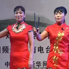 河南坠子《王三姐拜寿》全集