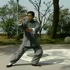 八十五式杨式太极拳(傅清泉)下