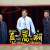 真高啊下载