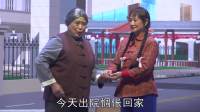 现代豫剧《酷情》草编版