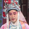 绝版琴书《罗成救妻》下载