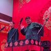 树没叶下载