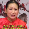 河南坠子《刘云打母》下载