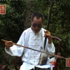 河南坠子《拳打镇关西》下载