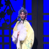 庐剧《新秦雪梅》合肥市庐剧院下载