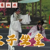 莆仙戏《太子坐堂》全集高清版下载