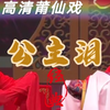 莆仙戏《公主泪》全集高清版下载