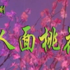 评剧《人面桃花》全剧 沈阳评剧院下载