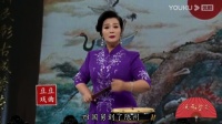 河南坠子《私访包公》第一回《包公赈灾遭诬陷》下载