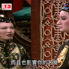 杨丽花歌仔戏《皇上难为》第13集下载