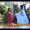 风之舞歌仔戏《梦里桃花》第七集下载