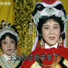 越剧电视剧《凄凉辽宫月》完整版下载