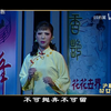 沪剧《花女泪》上海文慧沪剧团下载