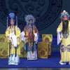 沈阳评剧院《打金枝》全剧下载