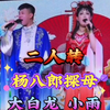杨八郎探母下载