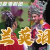 莆仙戏《兰英泪》全集 莆田荔清剧团下载