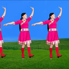 玫香广场舞《毛主席的光辉》正背面附教学下载