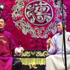 对坐数来宝下载