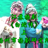 江苏扬剧《白蛇传》上集下载